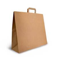 All Purpose Brown Paper Carry Bags With Flat Handles 400mmx450mmx150mm Carton/250 Gst Included