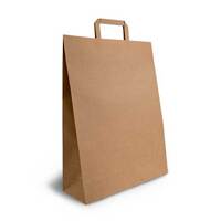 Brown Paper Carry Bags With Flat Handles 420mmx320mmx110mm Carton Of 250 Gst Included