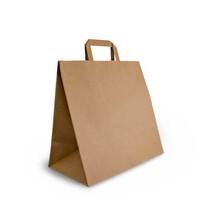 Brown Paper Carry Bags With Flat Handles 305mmx305mmx175mm Carton Of 250 Gst Included